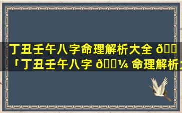 丁丑壬午八字命理解析大全 🐠 「丁丑壬午八字 🐼 命理解析大全视频」